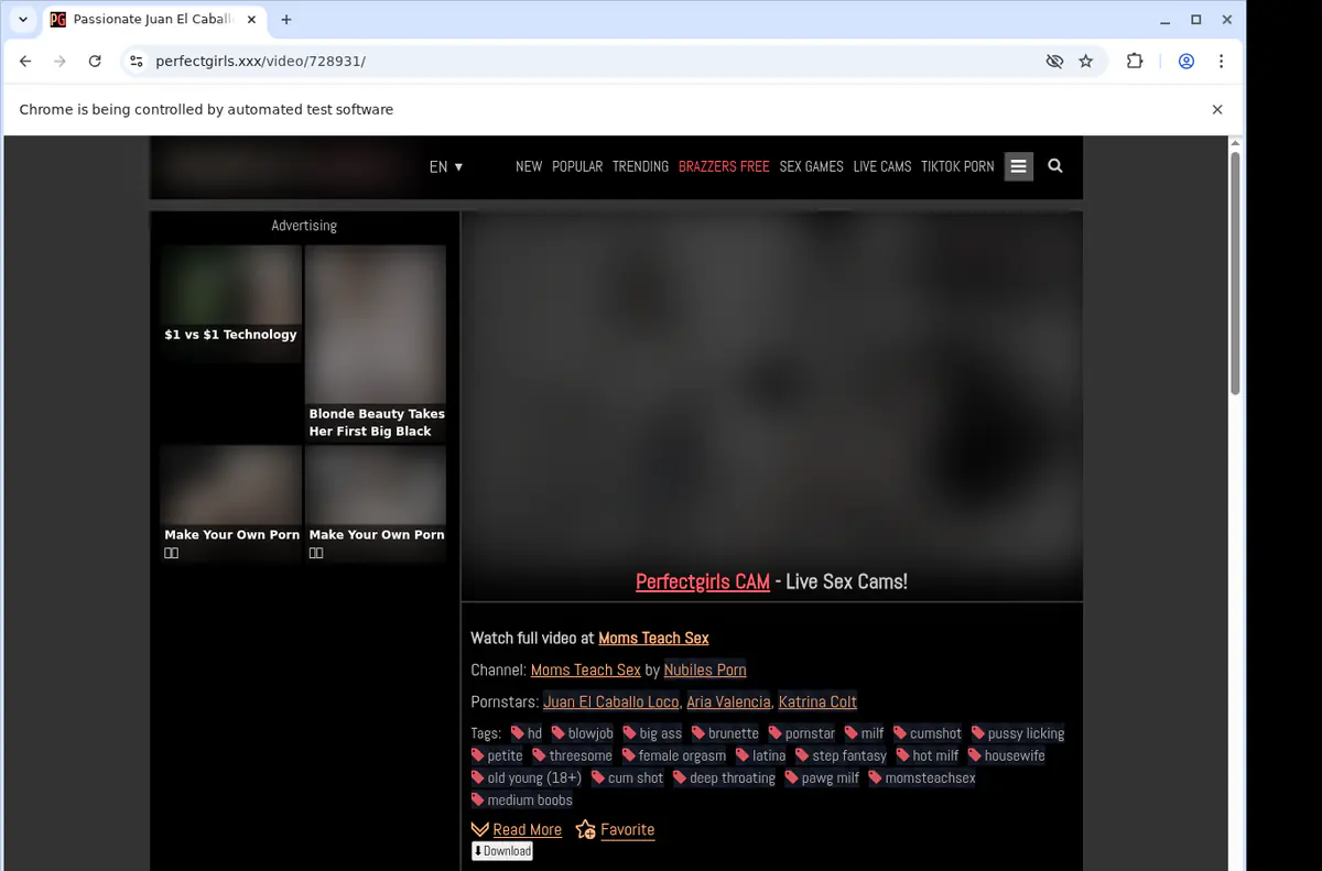 Perfectgirls Video Downloader screenshot 3