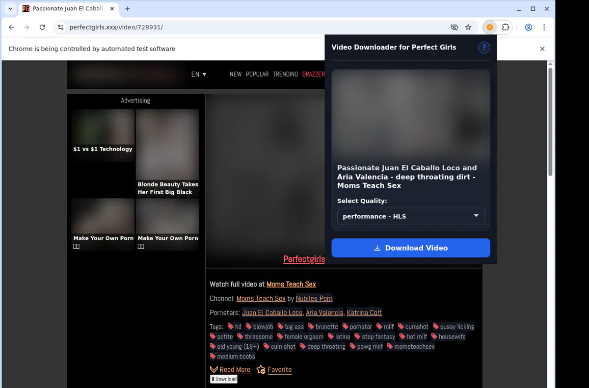 Perfectgirls Video Downloader screenshot 4